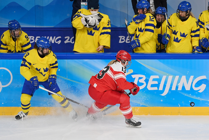 爱游戏在线-丹麦队击败瑞典队，斩获关键胜利